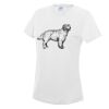 AWDis Ladies Cool T-Shirt Thumbnail